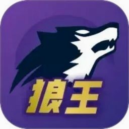 杀了这个狗皇帝叫什么 游戏封面