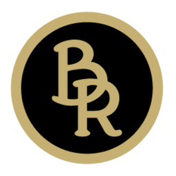 brightspace 游戏封面