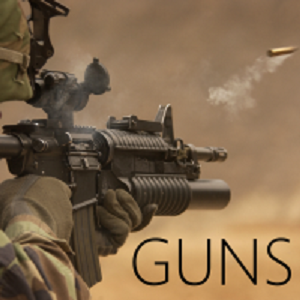 gunsup 游戏封面