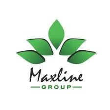 maxline最新版下裁版本 游戏封面