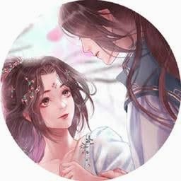 代号为零橙光破解版完结 游戏封面