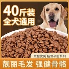 狗粮十大品牌排行 游戏封面