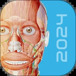 骨骼生命的原动力 游戏封面