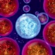 无尽宇宙 neoverse 典藏版 游戏封面