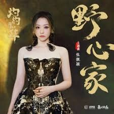 野心家 游戏封面