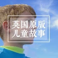 英文原版书 游戏封面