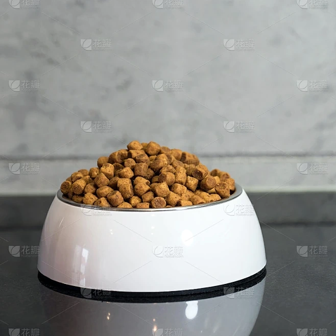 这碗狗粮有点甜橙光 游戏封面