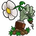 植物大战僵尸lz重制版电脑下载 游戏封面