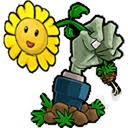植物大战僵尸胆小菇之梦下载电脑版 游戏封面